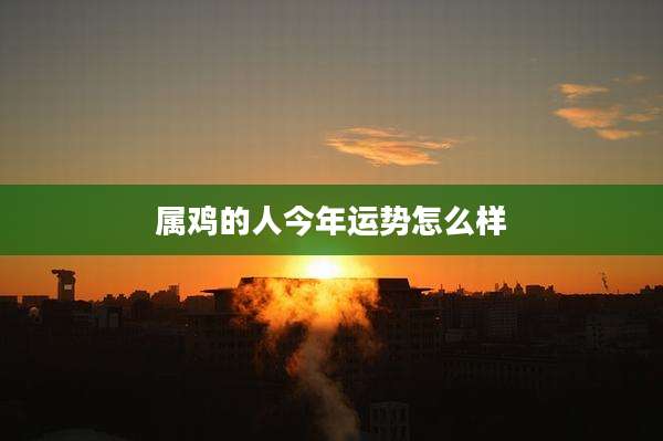 属鸡的人今年运势怎么样