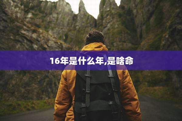 16年是什么年,是啥命