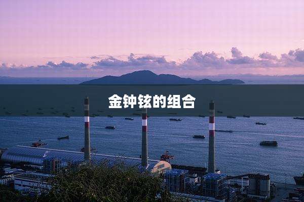 金钟铉的组合