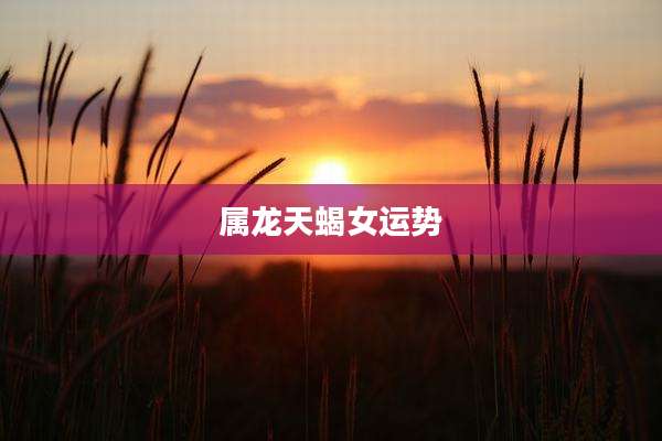 属龙天蝎女运势