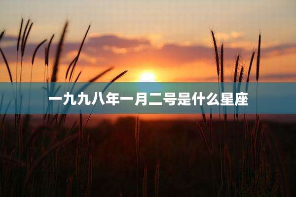 一九九八年一月二号是什么星座