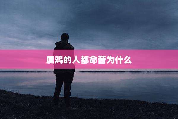 属鸡的人都命苦为什么