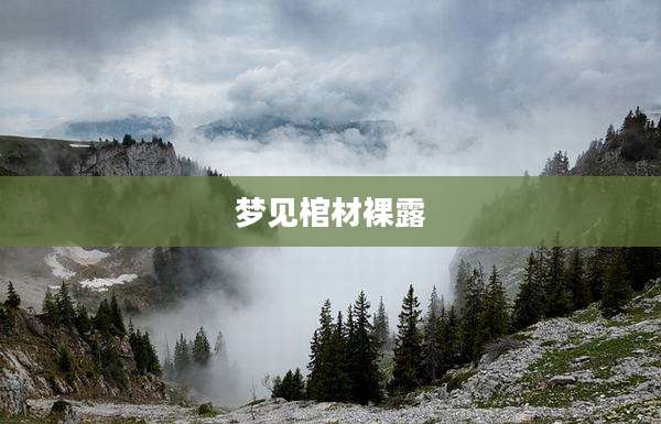 梦见棺材***