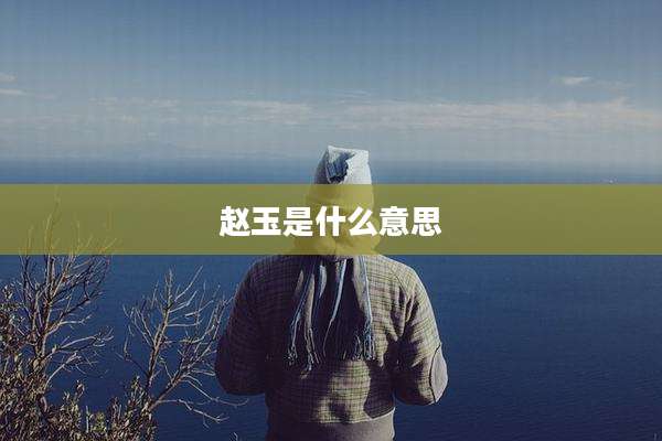 赵玉是什么意思
