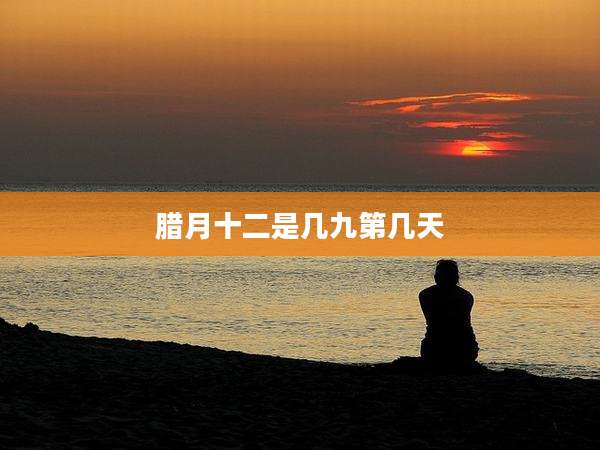 腊月十二是几九第几天