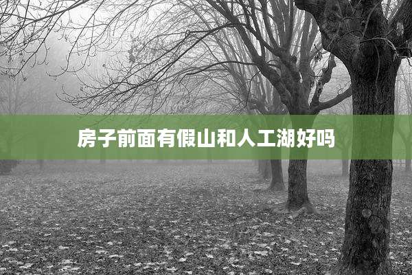 房子前面有假山和人工湖好吗