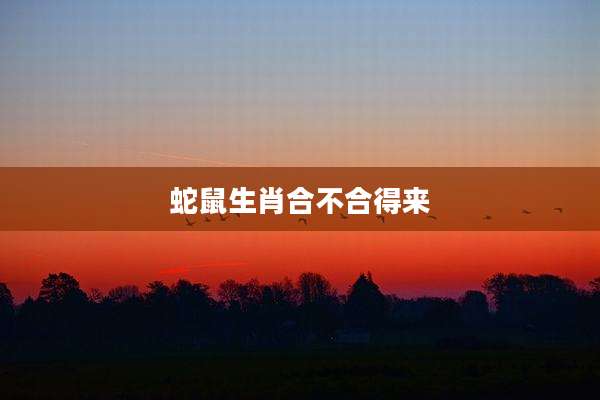 蛇鼠生肖合不合得来