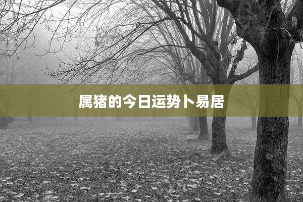 属猪的今日运势卜易居