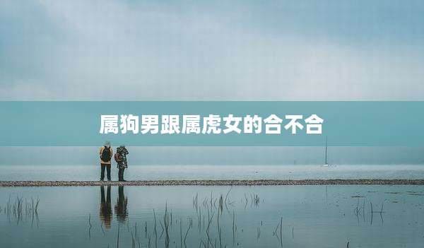 属狗男跟属虎女的合不合