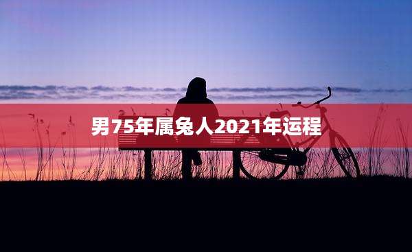 男75年属兔人2021年运程