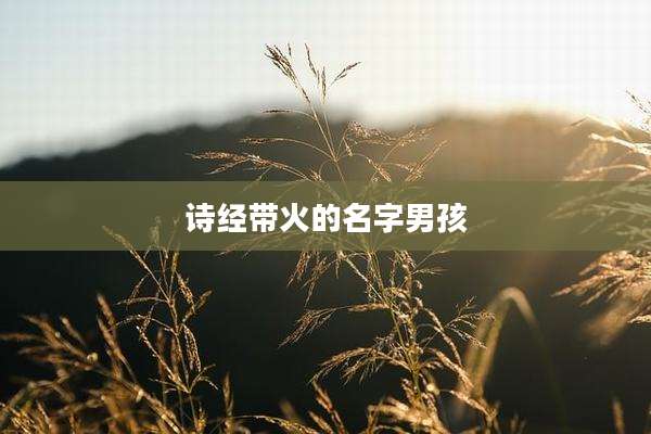 诗经带火的名字男孩