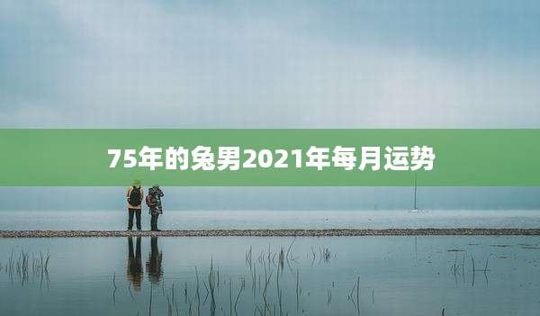 75年的兔男2021年每月运势