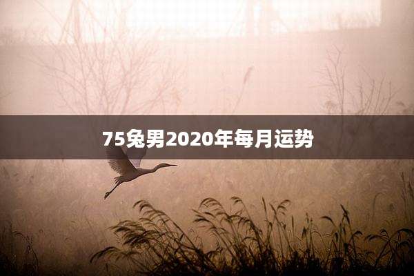 75兔男2020年每月运势