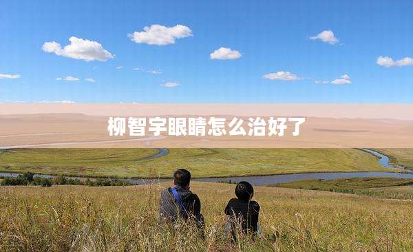 柳智宇眼睛怎么治好了
