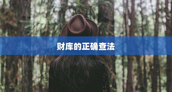 财库的正确查法