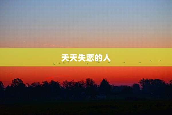 天天失恋的人