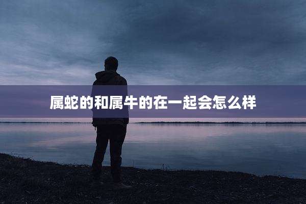 属蛇的和属牛的在一起会怎么样