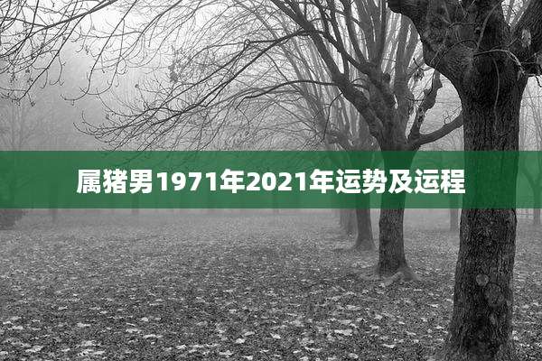 属猪男1971年2021年运势及运程