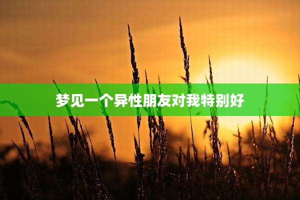 梦见一个异性朋友对我特别好