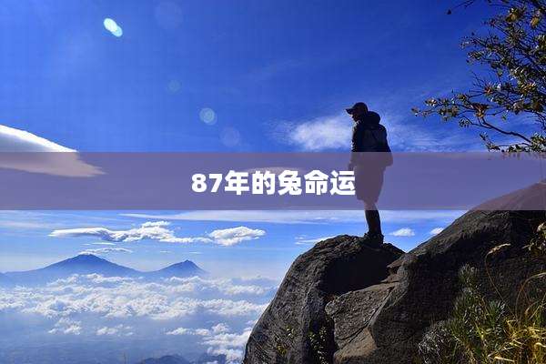 87年的兔命运
