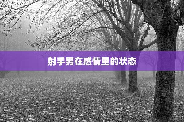 射手男在感情里的状态