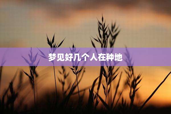 梦见好几个人在种地