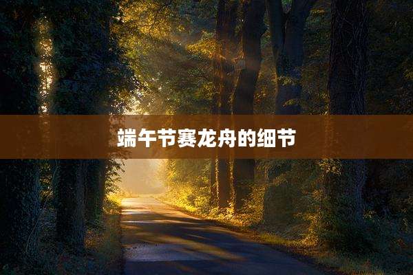 端午节赛龙舟的细节