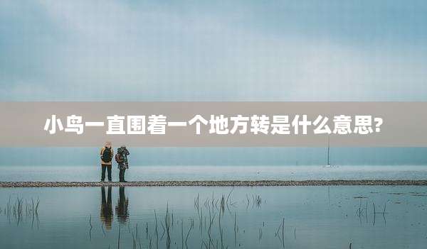小鸟一直围着一个地方转是什么意思?