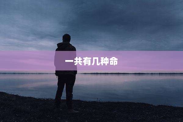一共有几种命