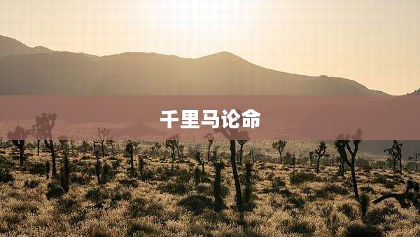 千里马论命