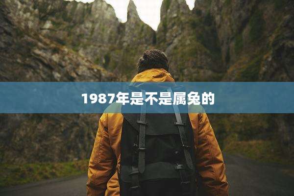 1987年是不是属兔的