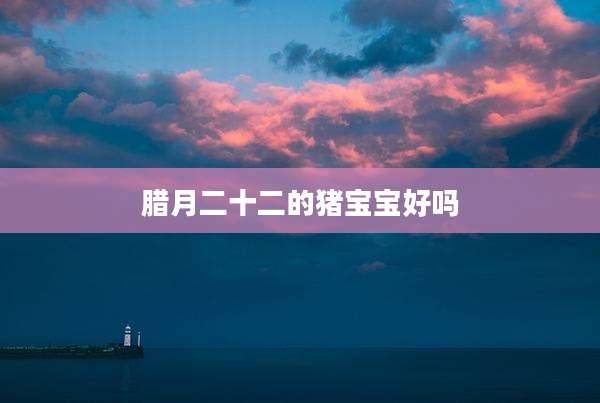 腊月二十二的猪宝宝好吗
