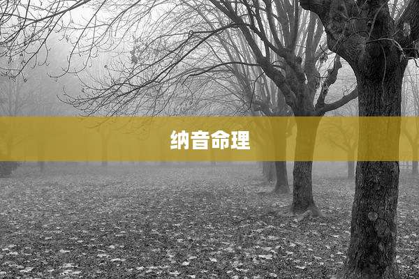 纳音命理