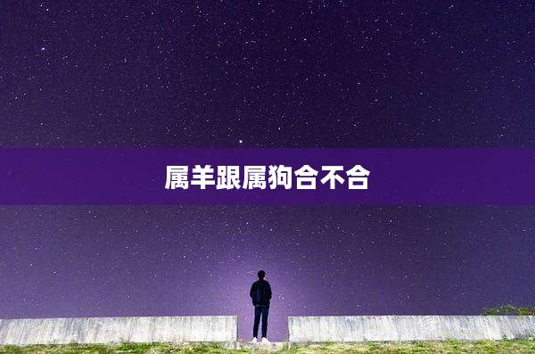 属羊跟属狗合不合
