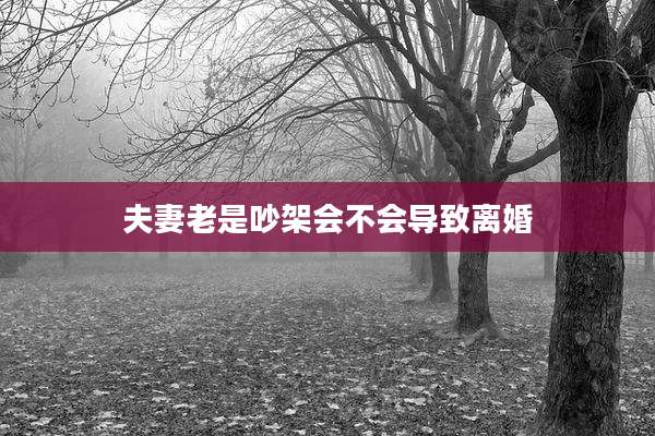 夫妻老是吵架会不会导致离婚