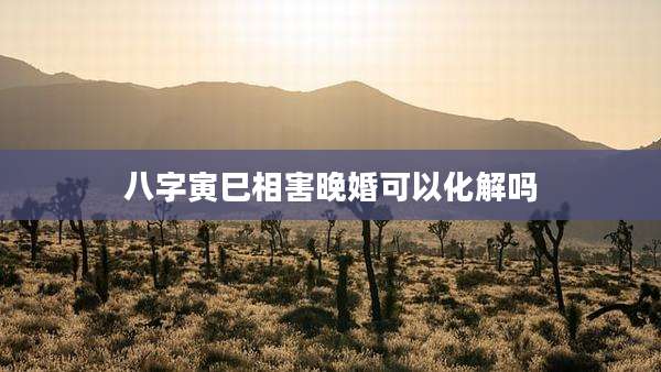 八字寅巳相害晚婚可以化解吗