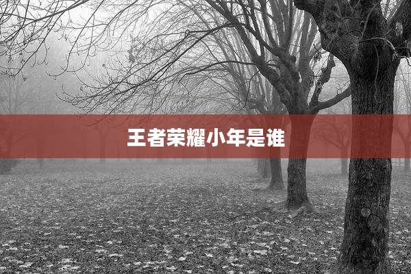 王者荣耀小年是谁