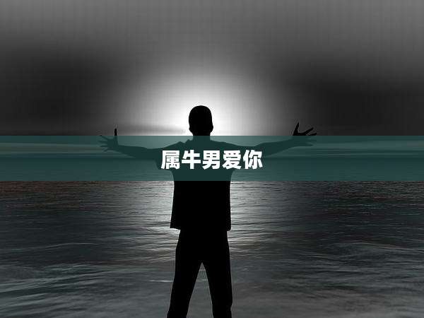 属牛男爱你