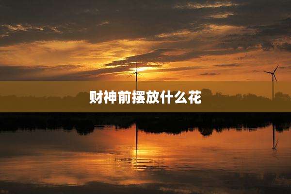 财神前摆放什么花