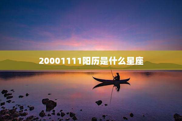 20001111阳历是什么星座