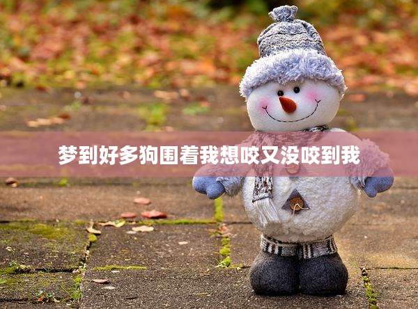 梦到好多狗围着我想咬又没咬到我