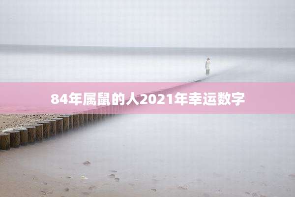 84年属鼠的人2021年幸运数字
