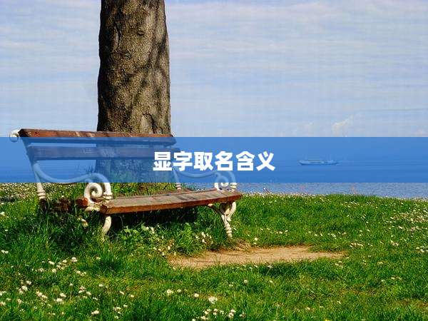 显字取名含义