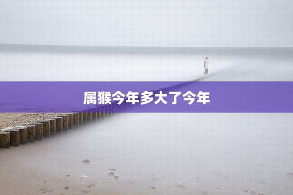 属猴今年多大了今年