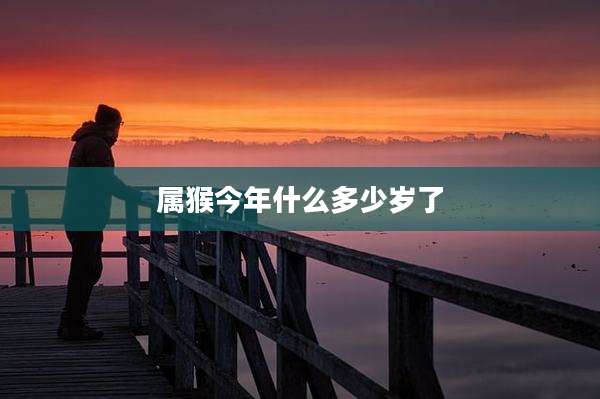 属猴今年什么多少岁了