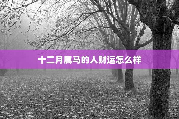 十二月属马的人财运怎么样