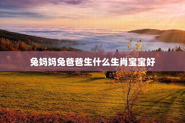 兔妈妈兔爸爸生什么生肖宝宝好
