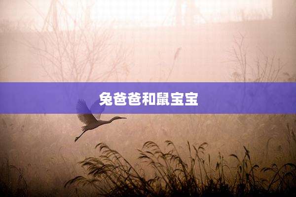 兔爸爸和鼠宝宝