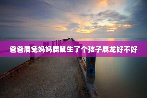 爸爸属兔妈妈属鼠生了个孩子属龙好不好