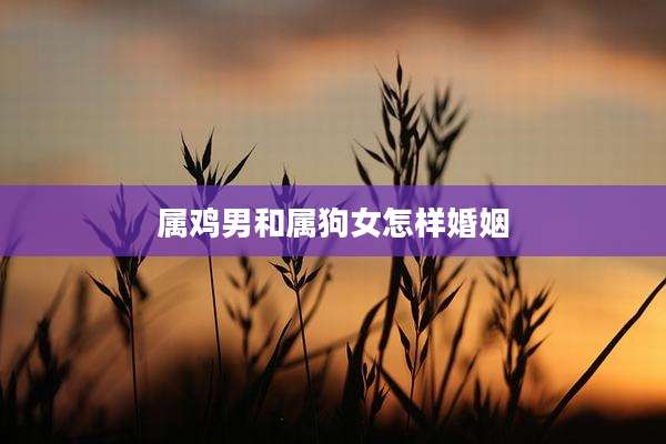 属鸡男和属狗女怎样婚姻
